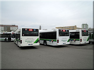 Zadn� partie autobus� MAN A20